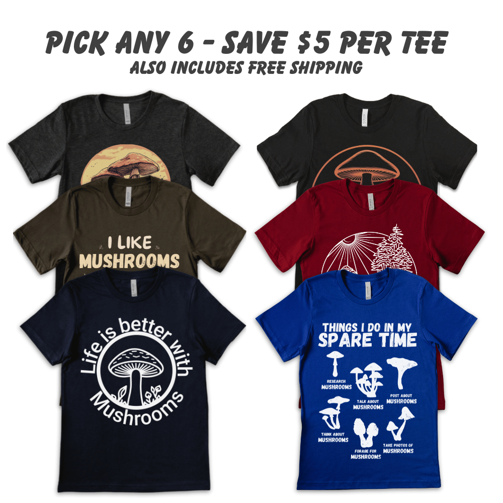 Bundle 3