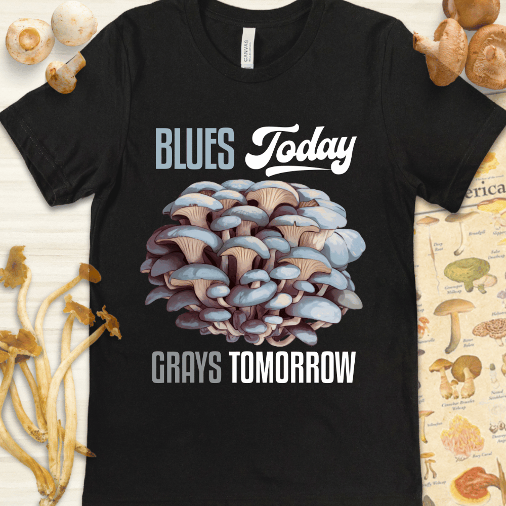 Blues Today Grays Tee Black