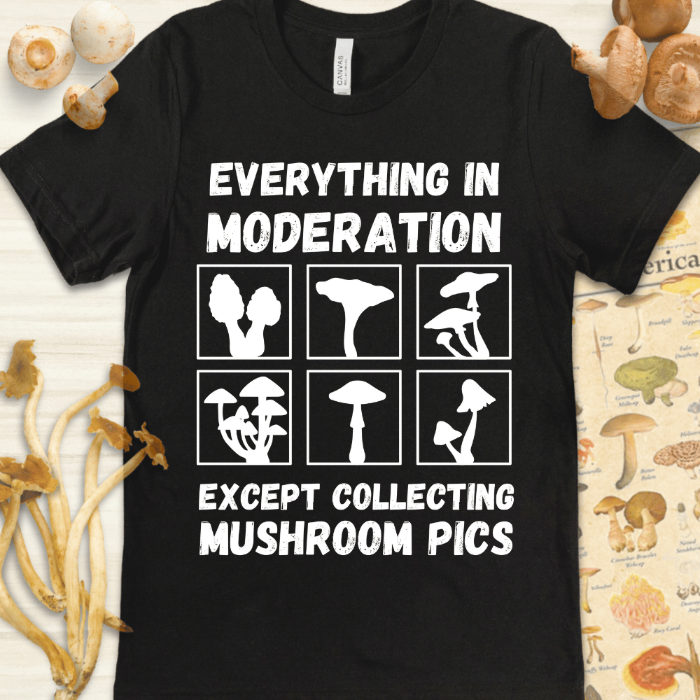 Mushroom Pics Tee Black