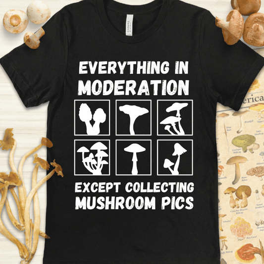 Mushroom Pics Tee Black