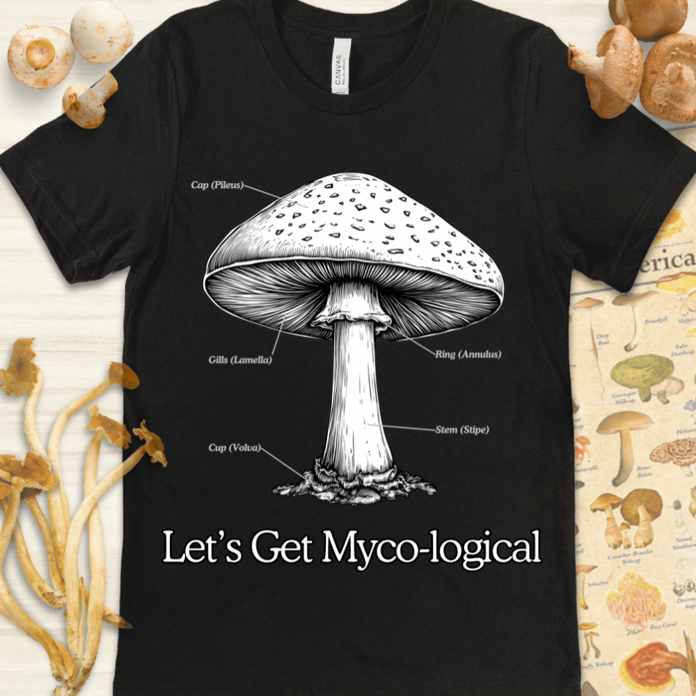 Get Myco-Logical Tee Black