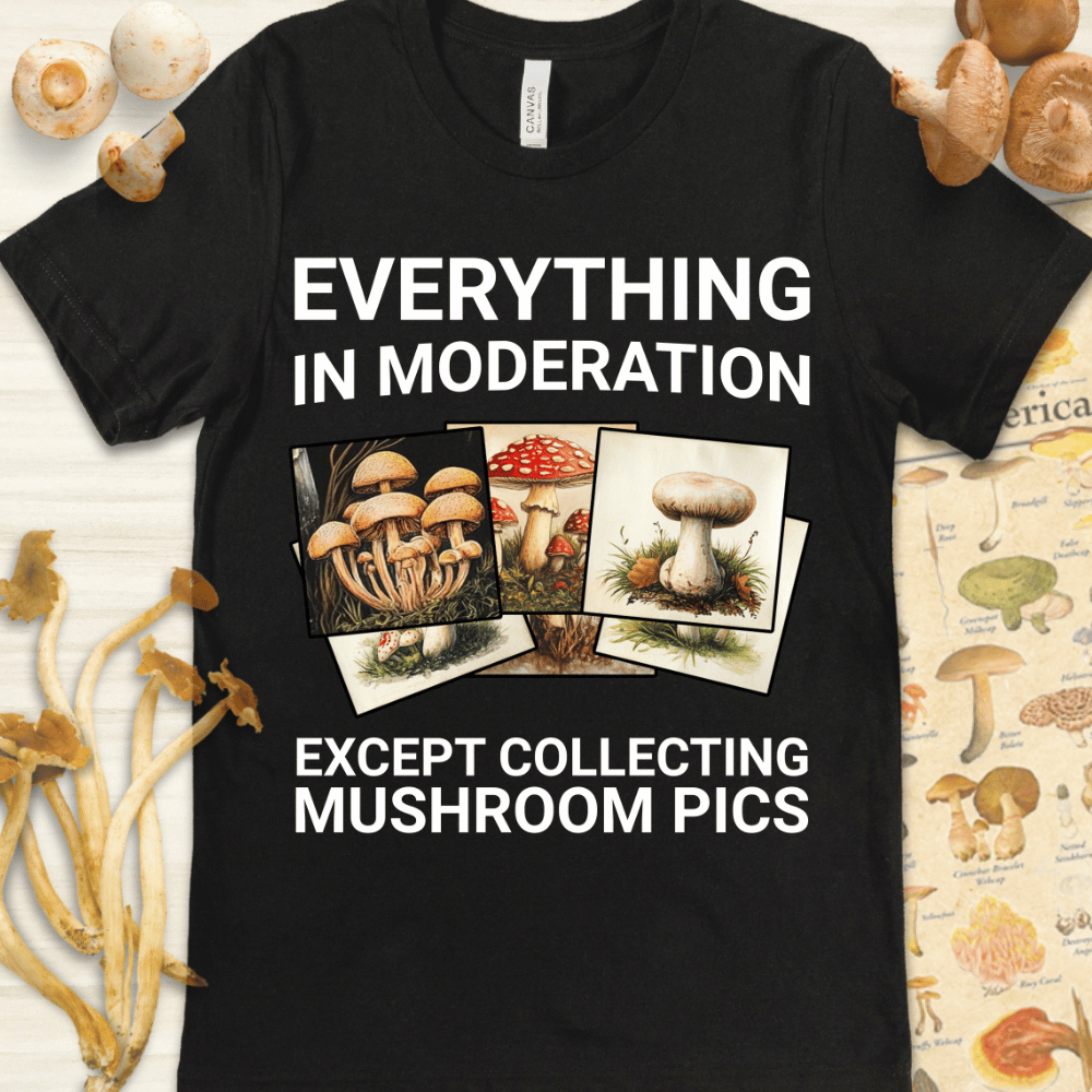 Mushroom Pics Tee Black
