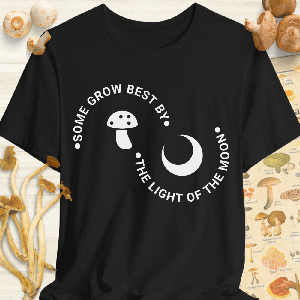 Light Of The Moon Tee Black
