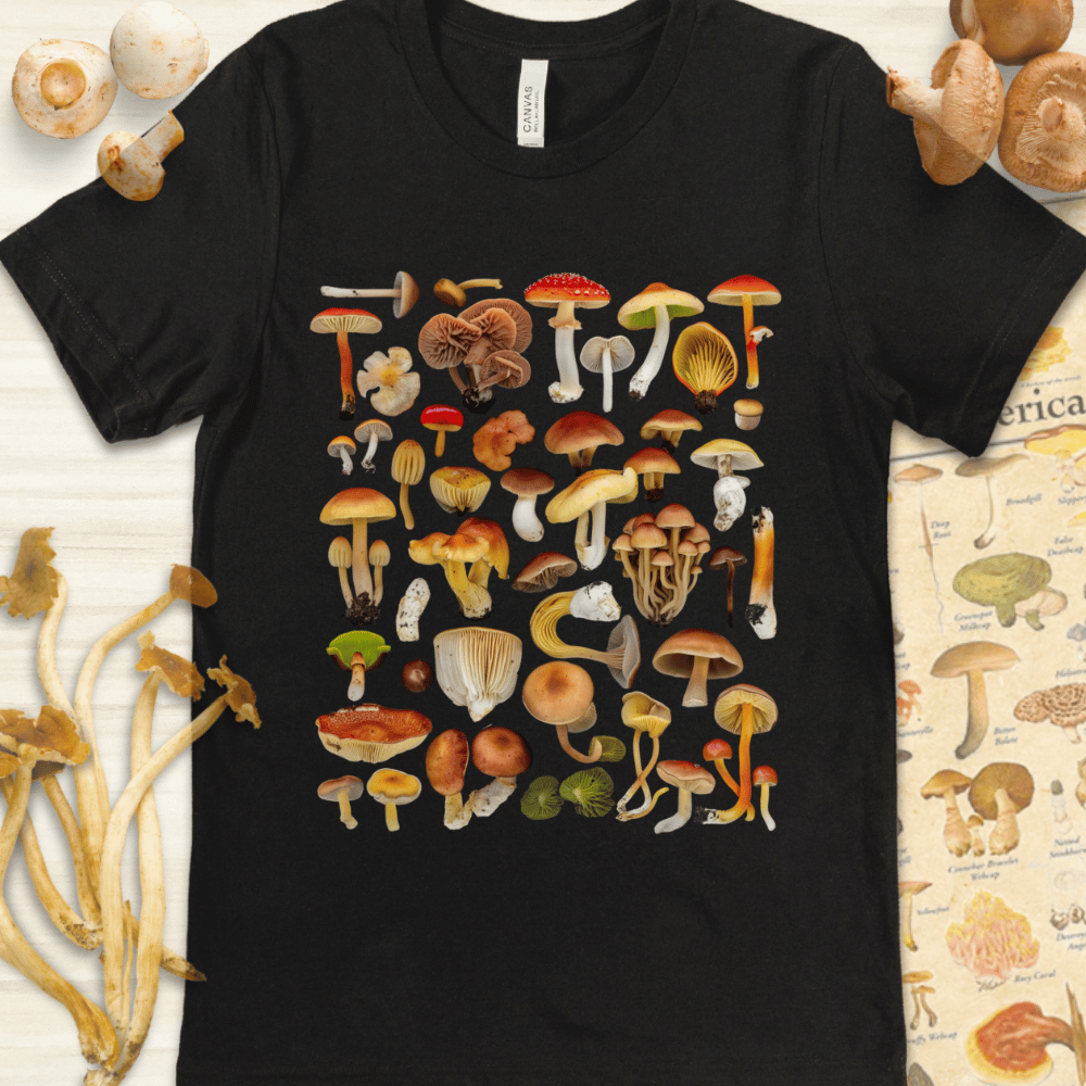 MycoMedly Collage Tee Black