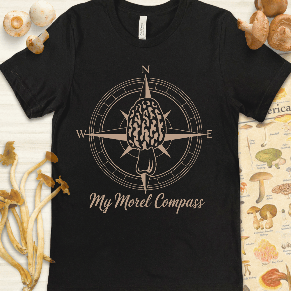 My Morel Compass Tee Black