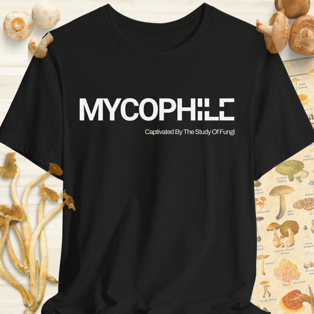 Mycophile Study Of Fungi Tee Black