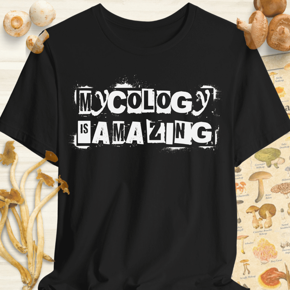 Mycology Is Amazing Tee Black