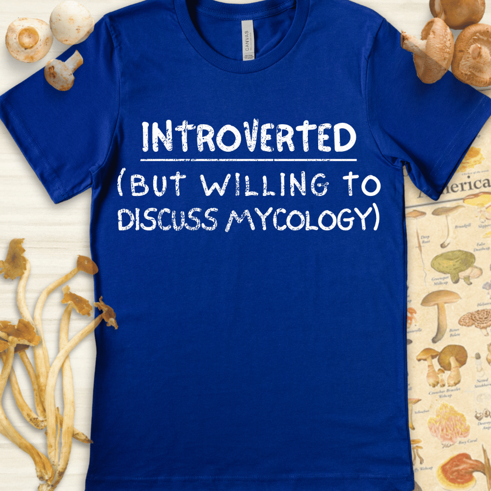 Introverted Tee Blue