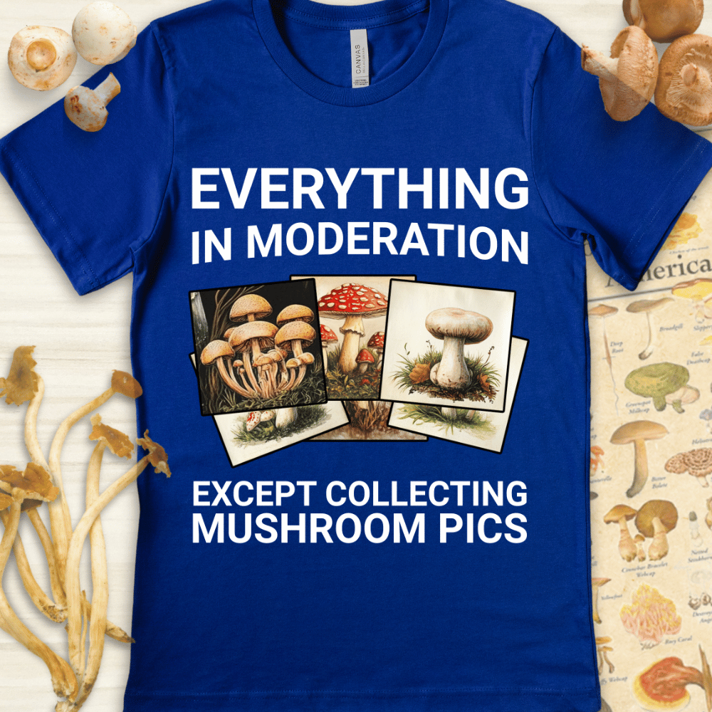Mushroom Pics Tee Blue