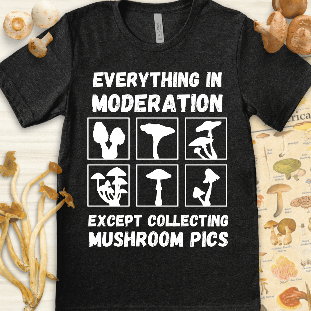 Mushroom Pics Tee Dark Grey