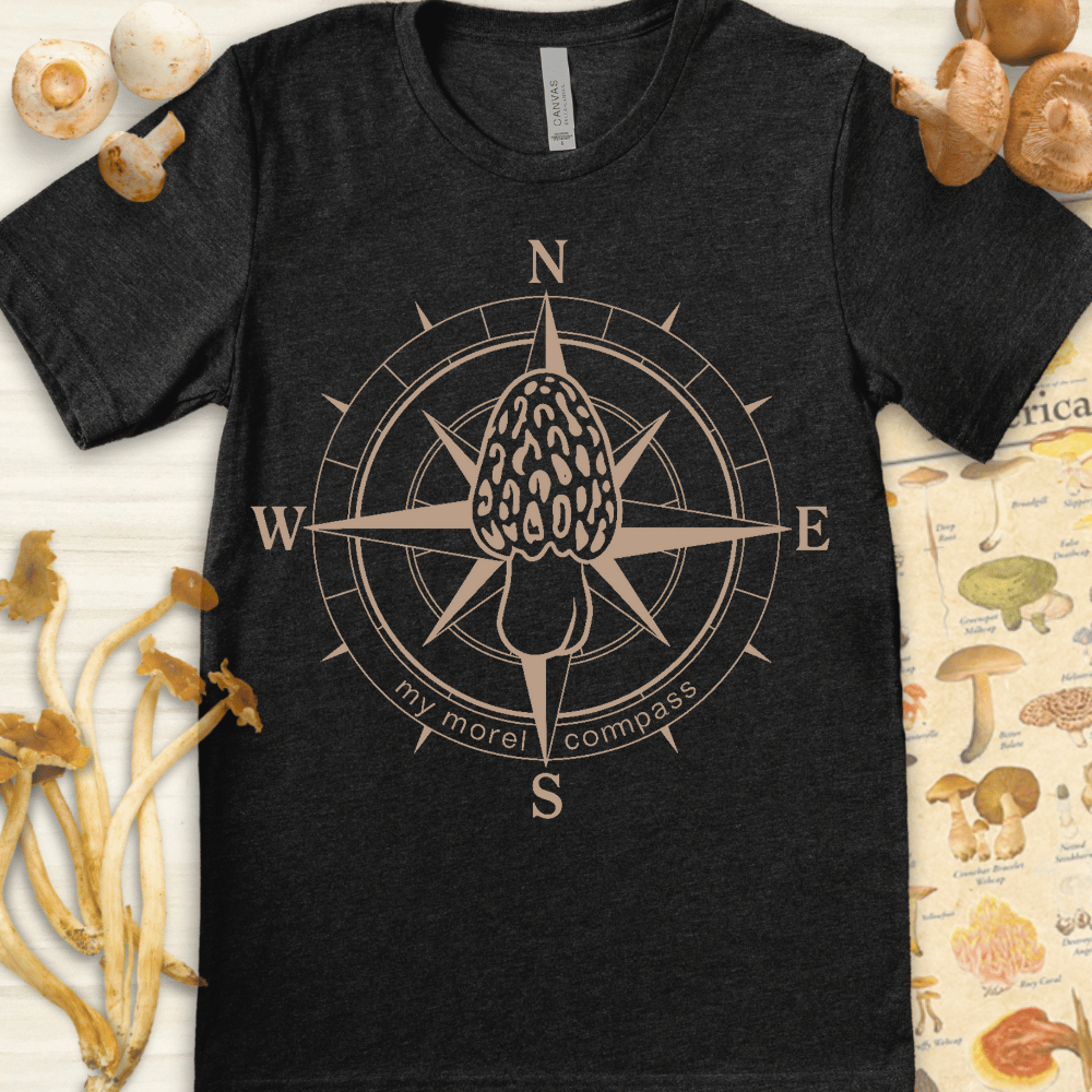 Morel Compass Tee Dark Grey