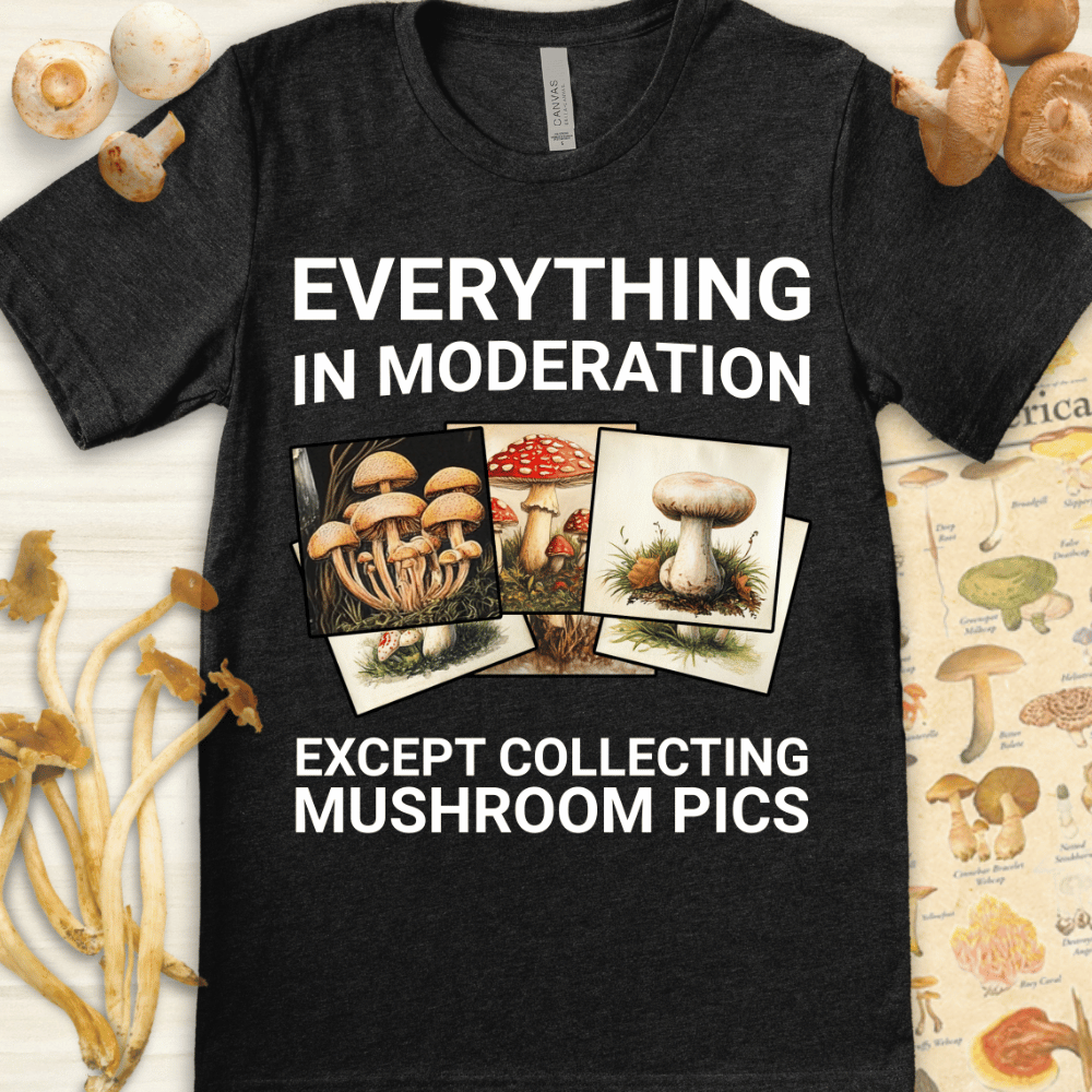 Mushroom Pics Tee Dark Grey