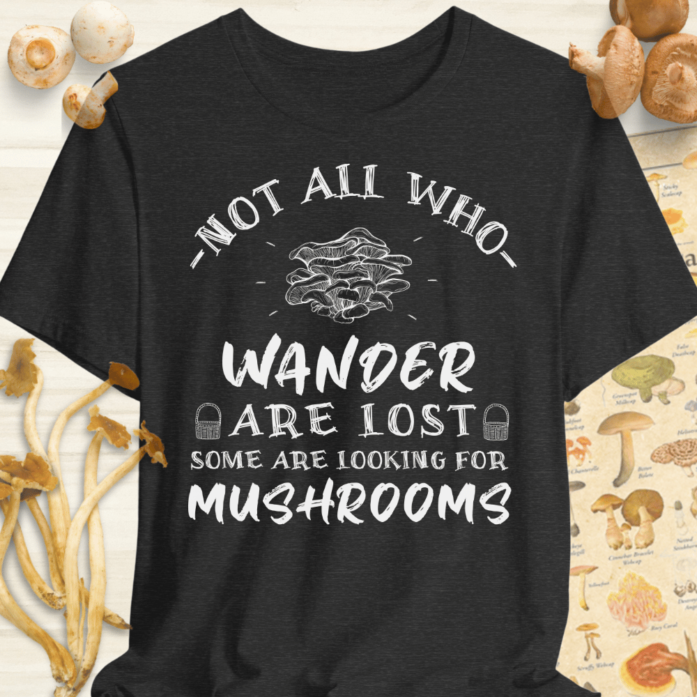 Wander Are Lost Tee Dark Grey