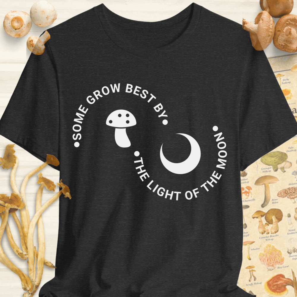 Light Of The Moon Tee Dark Grey