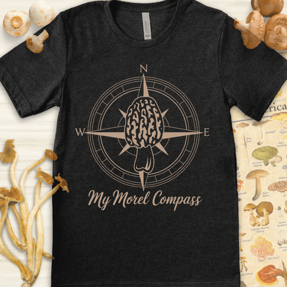 My Morel Compass Tee Dark Grey