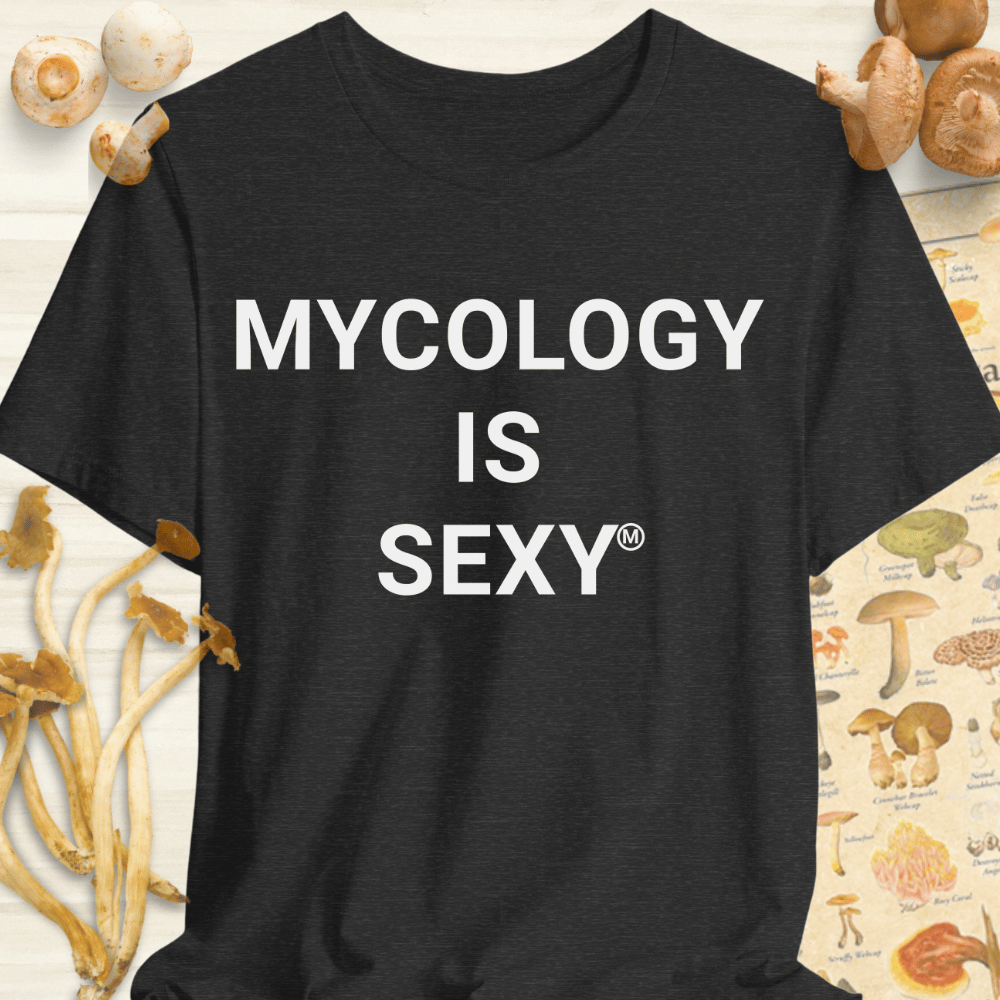 Mycology Is Sexy Tee Dark Grey