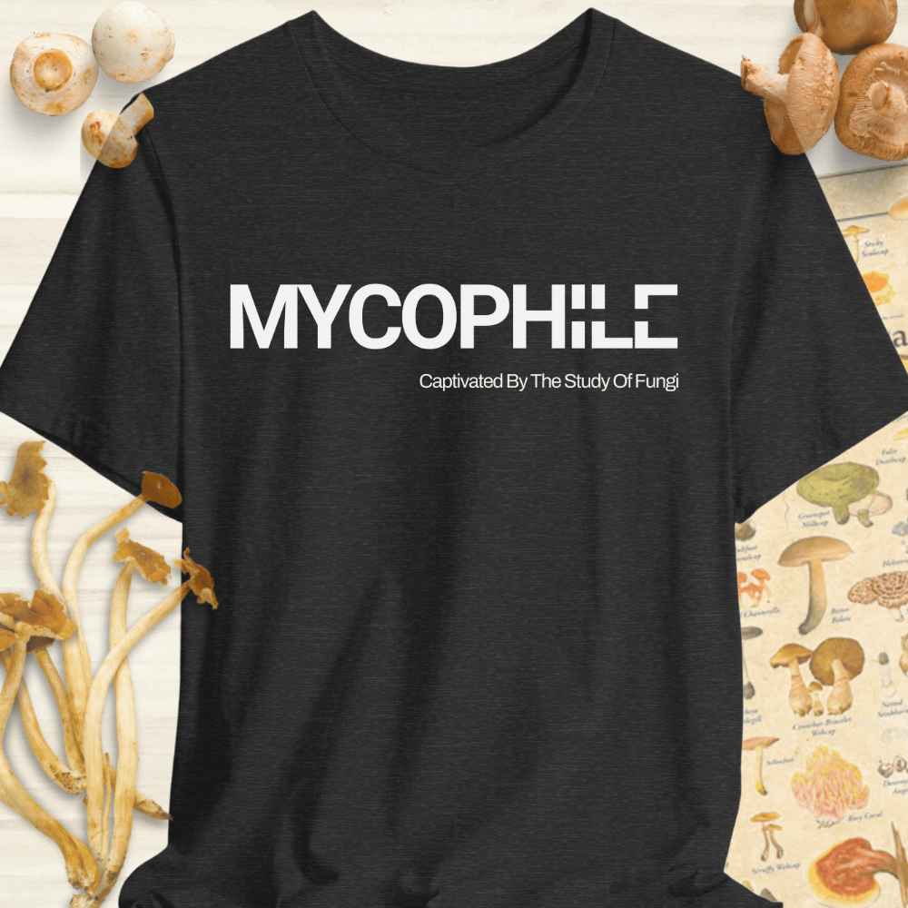 Mycophile Study Of Fungi Tee Dark Grey