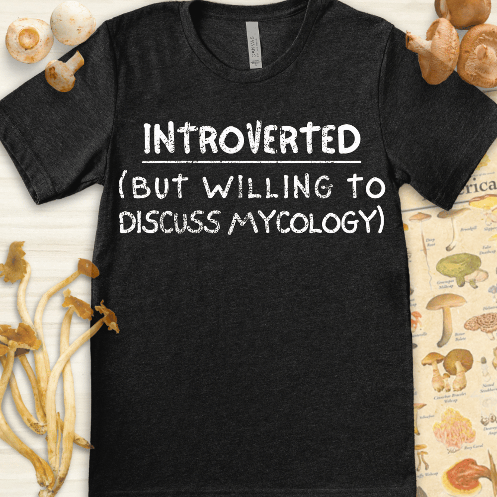 Introverted Tee Dark Grey