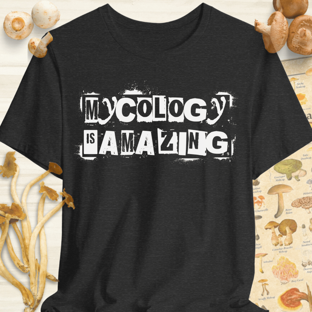 Mycology Is Amazing Tee Dark Grey