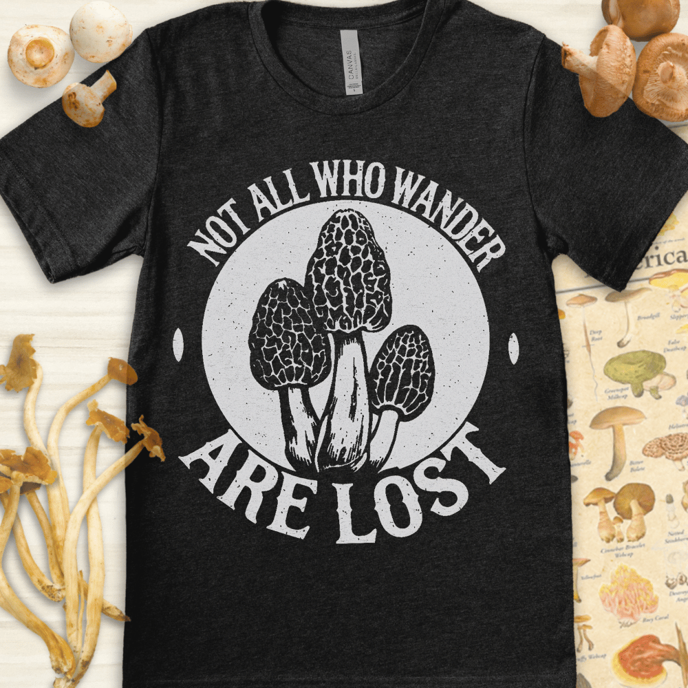 Wander Are Lost Tee Dark Grey