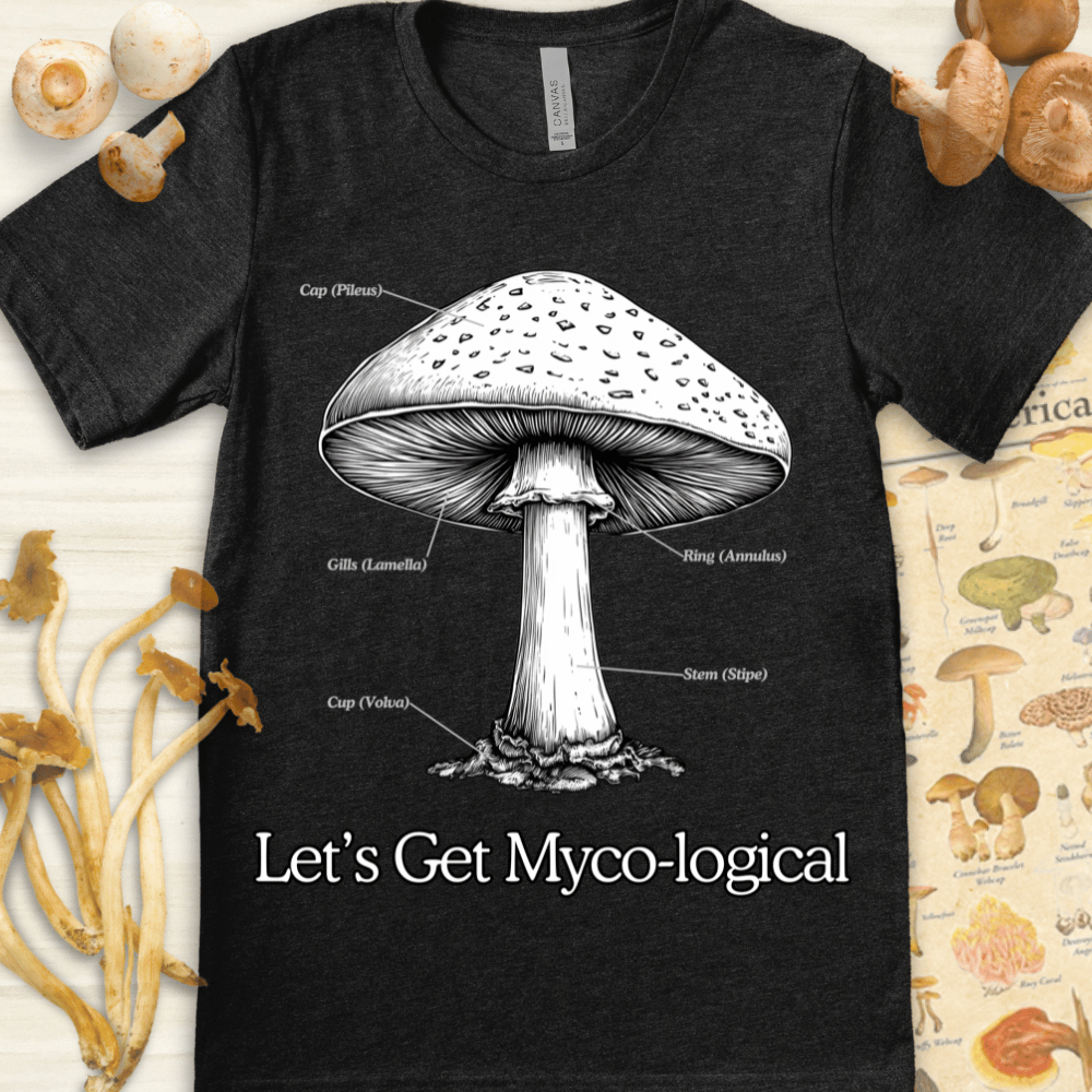 Get Myco-Logical Tee Dark Grey