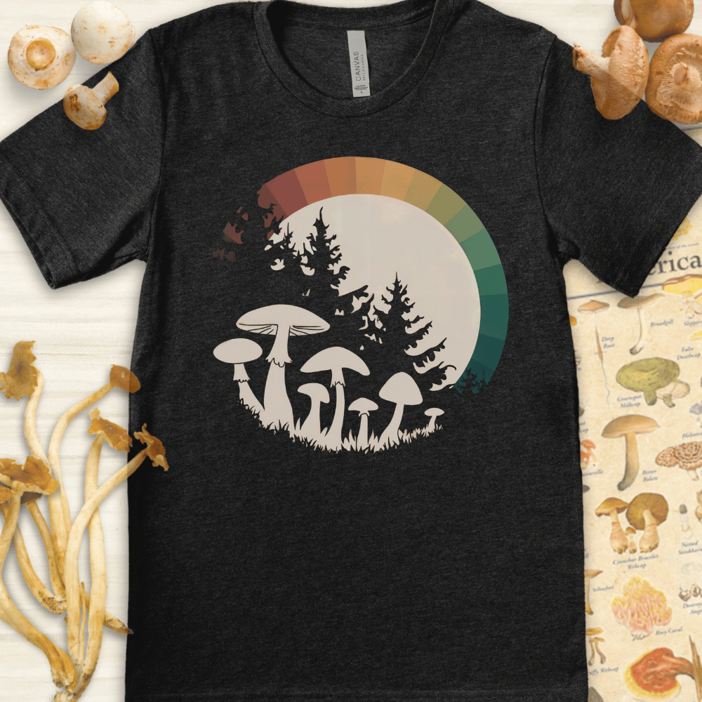 Rainbow Moon Tee Dark Grey