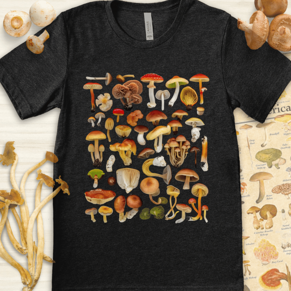 MycoMedly Collage Tee Dark Grey
