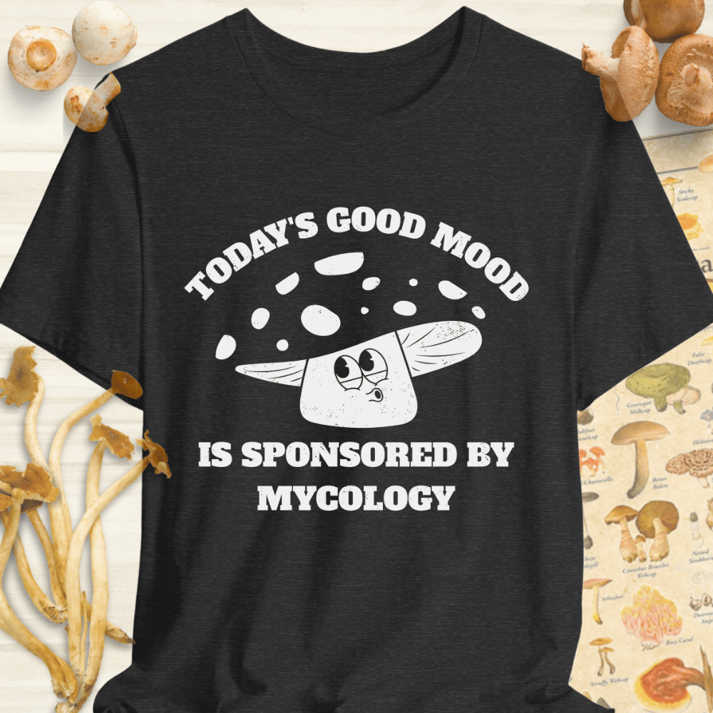 Sponsored Mycology Tee Dark Grey