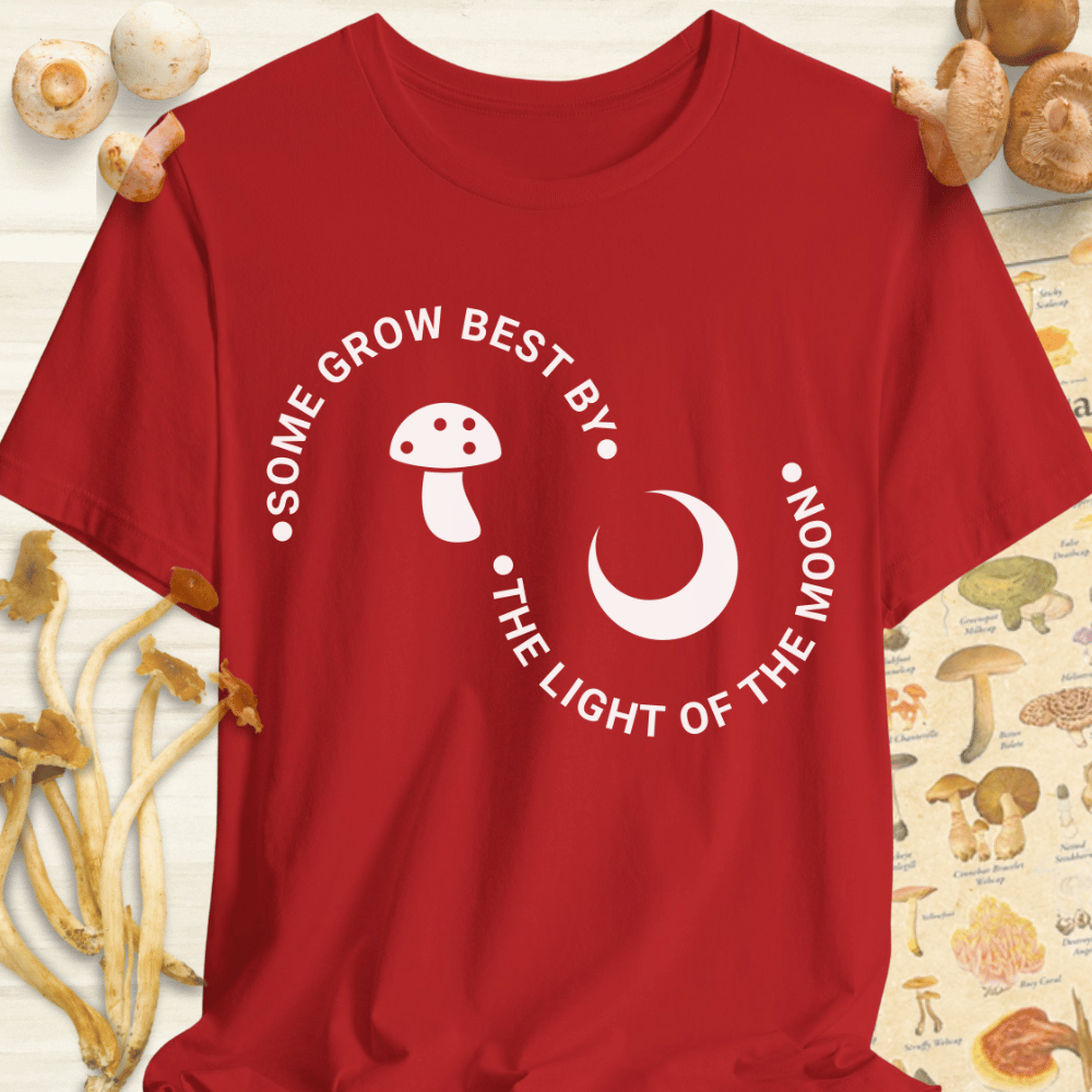 Light Of The Moon Tee Red