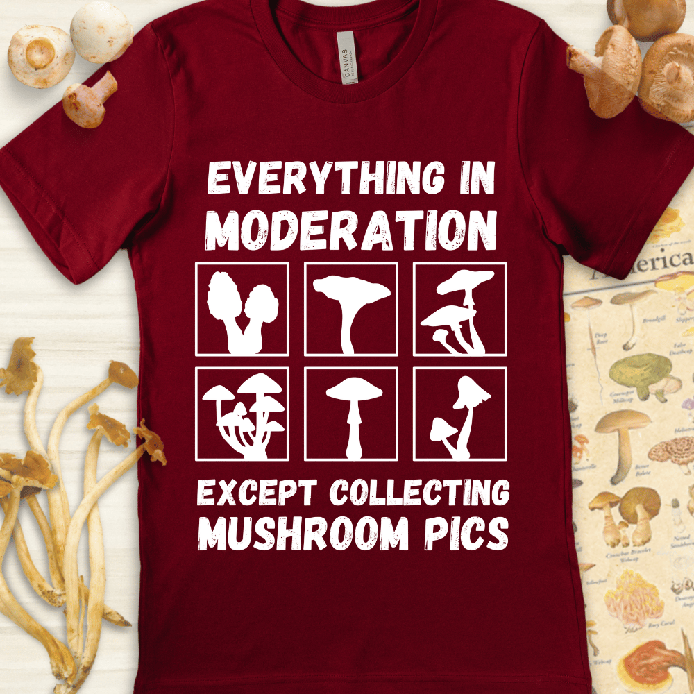 Mushroom Pics Tee Red