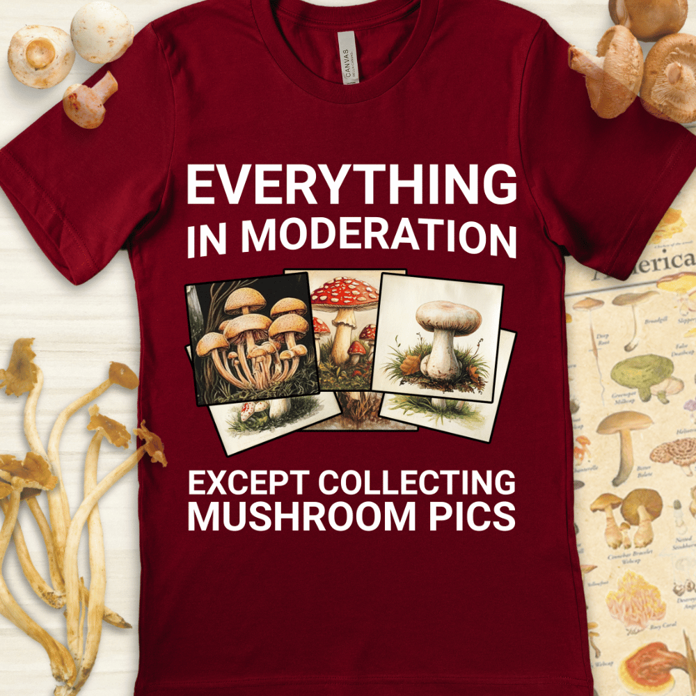 Mushroom Pics Tee Red