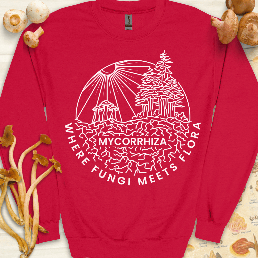 Mycorrhiza Fungi Sweatshirt Red