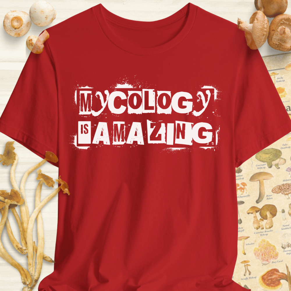 Mycology Is Amazing Tee Red