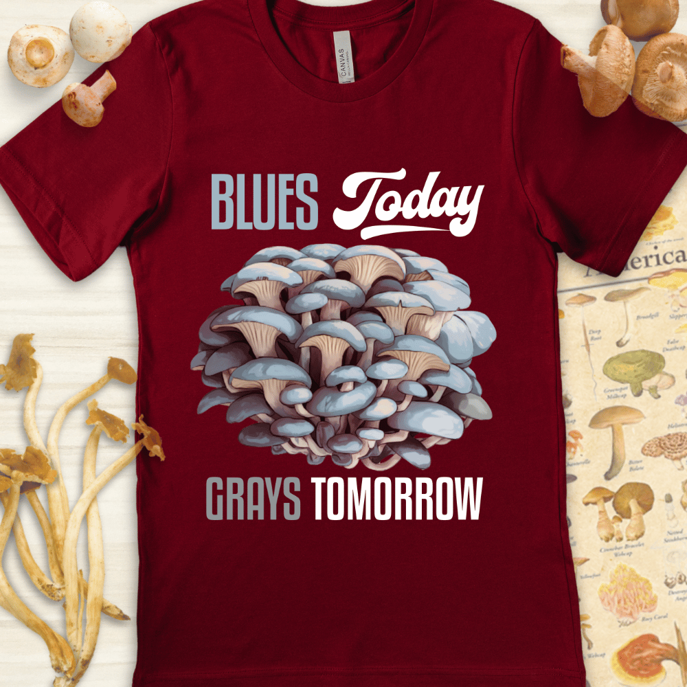 Blues Today Grays Tee Red
