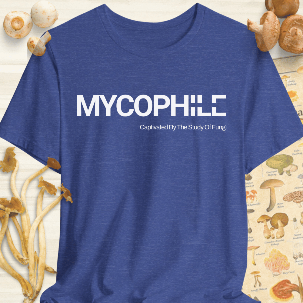 Mycophile Study Of Fungi Tee Blue